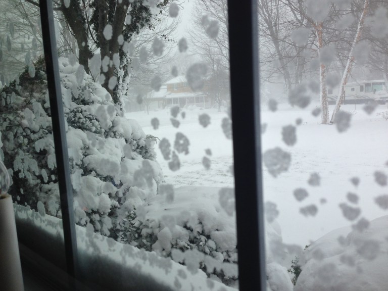 The winter wonderland outside my window. 